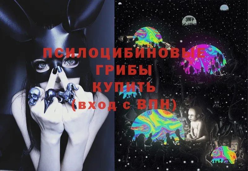 Галлюциногенные грибы Cubensis Алупка